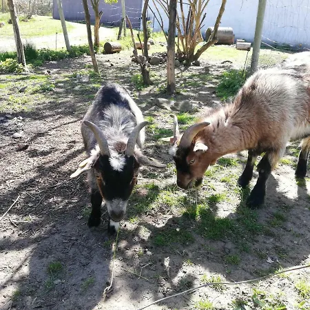 Bindesbolgard Farm *